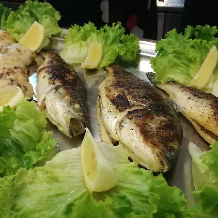 Nevada 호텔 비비오네