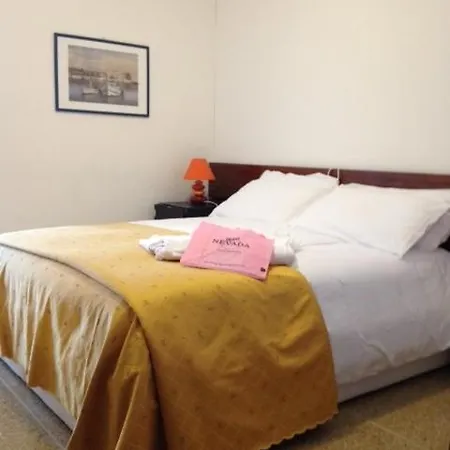 Nevada ביביונה