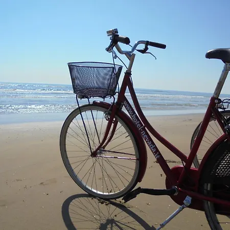 Nevada מלון ביביונה