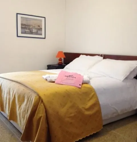 Nevada ビビオーネ