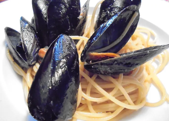 호텔 Nevada 비비오네